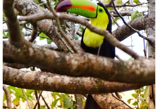 Belize 2020