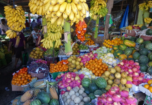 Sri Lanka 2019
